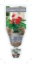 Picture of HOUSEPLANT ANTHURIUM SCHERZERIANUM FLAMINGO FLOWER                                                                                                    