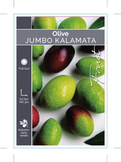 Picture of FRUIT OLIVE JUMBO KALAMATA                                                                                                                            