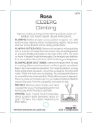 Picture of ROSE ICEBERG CLIMBING                                                                                                                                 