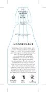 Picture of HOUSEPLANT INDOOR PLANT                                                                                                                               