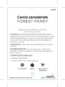 Picture of CERCIS CANADENSIS FOREST PANSY                                                                                                                        
