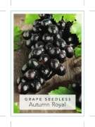 Picture of GRAPE AUTUMN ROYAL                                                                                                                                    
