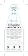 Picture of PALM ARCHONTOPHOENIX CUNNINGHAMIANA BANGALOW                                                                                                          
