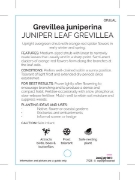 Picture of GREVILLEA JUNIPERINA                                                                                                                                  