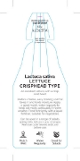 Picture of VEGETABLE LETTUCE CRISPHEAD TYPE (Lactuca sativa)                                                                                                     