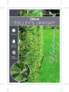 Picture of OLIVE TOLLEYS UPRIGHT                                                                                                                                 