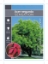 Picture of ACER NEGUNDO SENSATION Jumbo Tag                                                                                                                      
