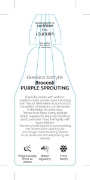 Picture of VEGETABLE BROCCOLI PURPLE SPROUTING                                                                                                                   
