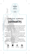 Picture of CORDYLINE POCAHONTAS                                                                                                                                  