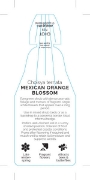 Picture of CHOISYA TERNATA MEXICAN ORANGE BLOSSOM                                                                                                                
