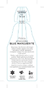 Picture of FELICIA AMELLOIDES BLUE                                                                                                                               