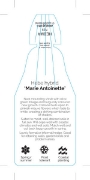 Picture of **HEBE MARIE ANTOINETTE                                                                                                                               