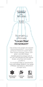 Picture of **ROSEMARINUS OFFICINALIS TUSCAN BLUE                                                                                                                 