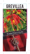 Picture of GREVILLEA BONNIE PRINCE CHARLIE                                                                                                                       