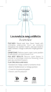 Picture of LAVANDULA AVONVIEW                                                                                                                                    