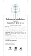 Picture of COLEONEMA PULCHELLUM AUREA GOLDEN DIOSMA                                                                                                              