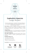 Picture of **EUPHORBIA CHARACIAS SUBSP. WULFENII                                                                                                                 