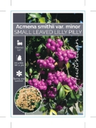 Picture of **ACMENA SMITHII VAR MINOR                                                                                                                            