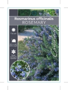 Picture of ROSMARINUS OFFICINALIS                                                                                                                                
