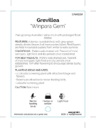 Picture of **GREVILLEA WINPARA GEM                                                                                                                               
