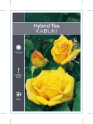 Picture of ROSE KABUKI (HT)                                                                                                                                      