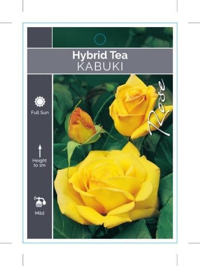 Picture of ROSE KABUKI (HT)                                                                                                                                      