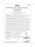 Picture of ROSE PRINCESSE DE MONACO CLIMBING                                                                                                                     