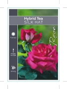 Picture of ROSE SILK HAT (HT)                                                                                                                                    