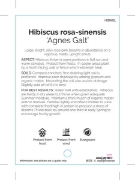 Picture of HIBISCUS AGNES GALT                                                                                                                                   
