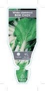 Picture of **VEGETABLE BOK CHOY WHITE STEMMED (Brassica rapa var. chinensis)                                                                                     