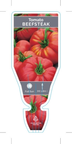 Picture of VEGETABLE TOMATO BEEFSTEAK (Lycopersicon esculentum)                                                                                                  