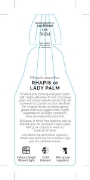 Picture of PALM RHAPIS EXCELSA LADY PALM                                                                                                                         