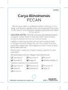 Picture of NUT PECAN (TICK BOX)                                                                                                                                  