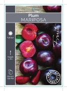 Picture of FRUIT PLUM MARIPOSA (HERITAGE) Jumbo Tag                                                                                                              