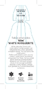 Picture of FELICIA AMELLOIDES WHITE MARGUERITE                                                                                                                   