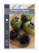 Picture of FRUIT BLACK SAPOTE OR CHOCOLATE PUDDING FRUIT                                                                                                         