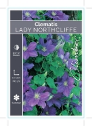 Picture of CLEMATIS LADY NORTHCLIFFE                                                                                                                             