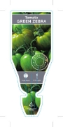 Picture of VEGETABLE TOMATO HEIRLOOM GREEN ZEBRA (Lycopersicon esculentum)                                                                                       