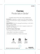 Picture of CORREA FEDERATION BELLE                                                                                                                               