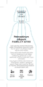 Picture of HERB PARSLEY AFRO (Petroselinum crispum)                                                                                                              