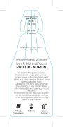 Picture of HOUSEPLANT PHILODENDRON SELLOUM                                                                                                                       