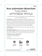 Picture of ACER PALMATUM DISSECTUM HANA MATOI                                                                                                                    