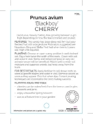 Picture of FRUIT CHERRY BLACKBOY (HERITAGE)                                                                                                                      