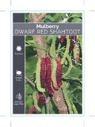 Picture of FRUIT MULBERRY DWARF RED SHAHTOOT                                                                                                                     