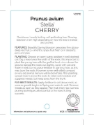 Picture of FRUIT CHERRY STELLA (HERITAGE)                                                                                                                        
