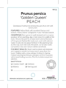 Picture of FRUIT PEACH GOLDEN QUEEN (HERITAGE)                                                                                                                   