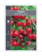 Picture of FRUIT CHERRY MORELLO (HERITAGE)                                                                                                                       