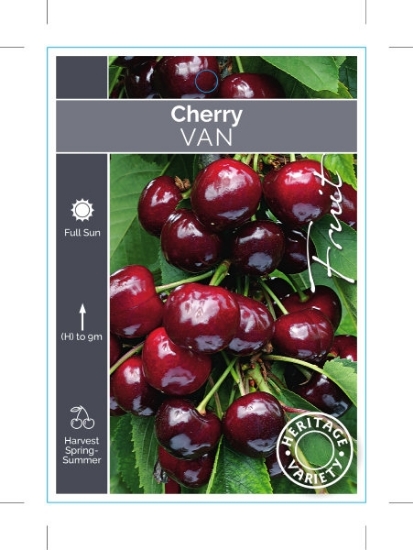 Picture of FRUIT CHERRY VAN (HERITAGE)                                                                                                                           