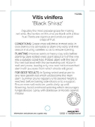 Picture of FRUIT GRAPE WINE BLACK SHIRAZ (HERITAGE)                                                                                                              