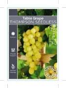 Picture of FRUIT GRAPE TABLE THOMPSON SEEDLESS (HERITAGE)                                                                                                        